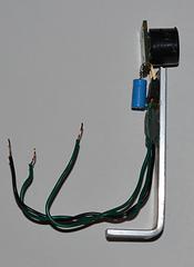 Wally image 5.16.JPG