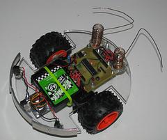 Bug Bot image 7_1.jpg